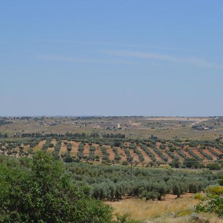 Casa Rural La Finca Guadamur Εξωτερικό φωτογραφία